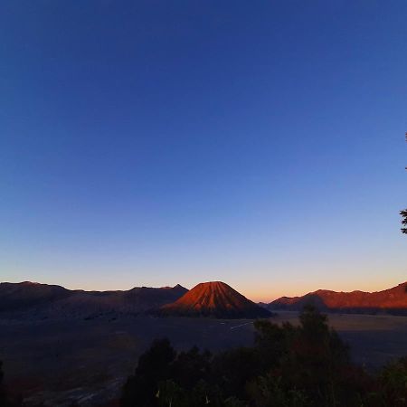 Saputra View Bromo Hotel Probolinggo Buitenkant foto