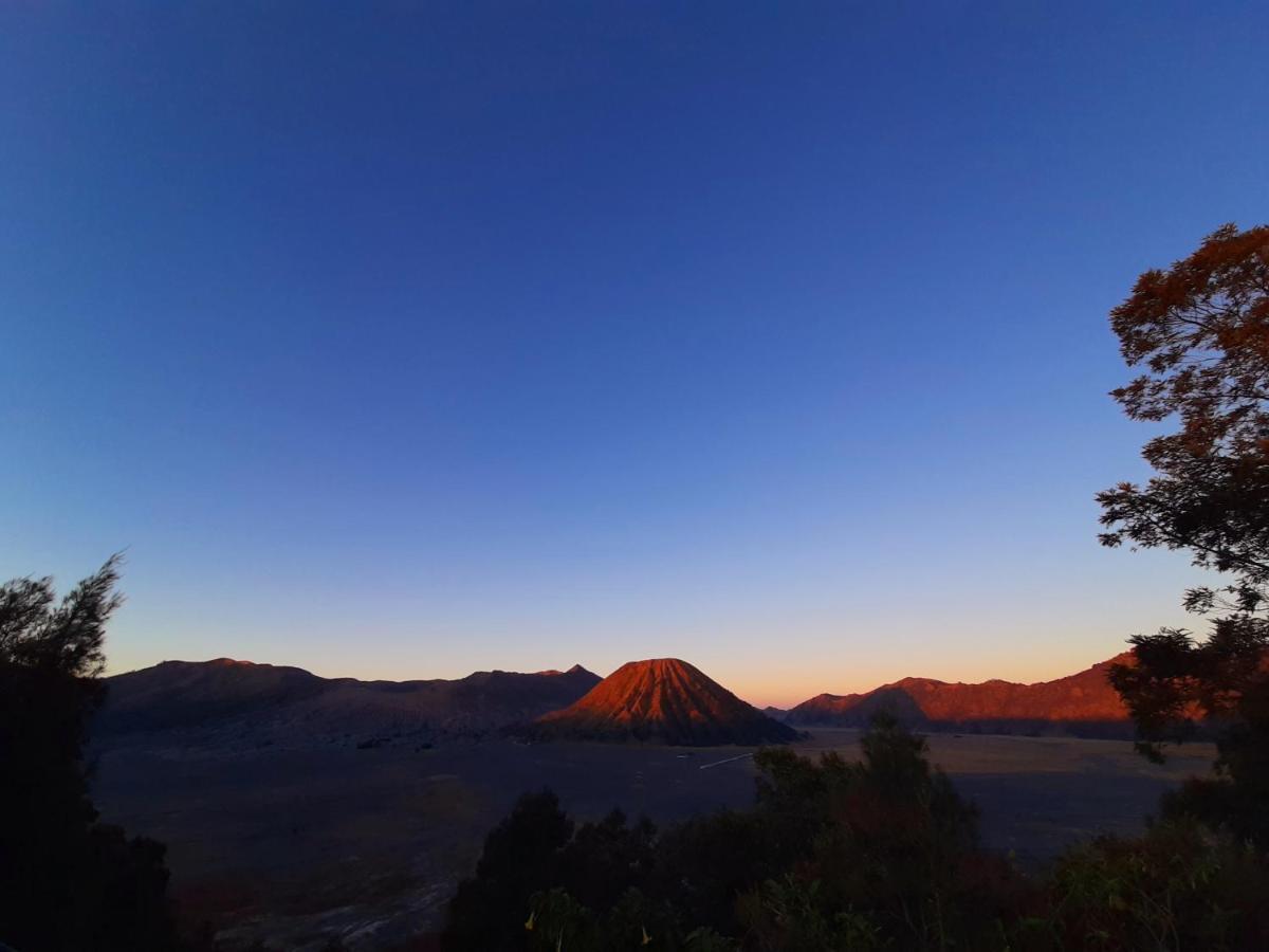 Saputra View Bromo Hotel Probolinggo Buitenkant foto