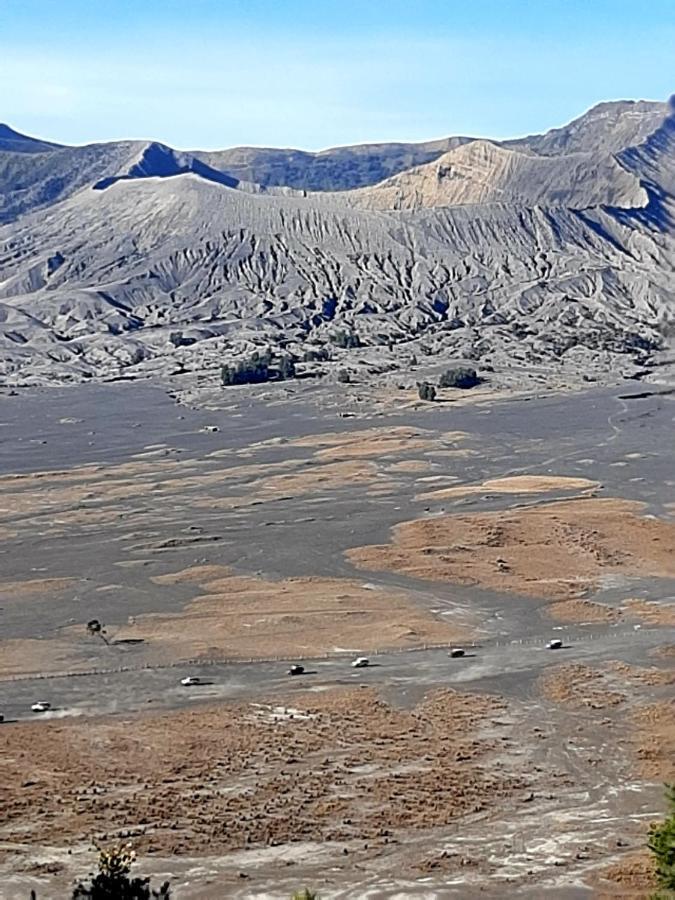 Saputra View Bromo Hotel Probolinggo Buitenkant foto